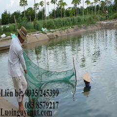 Lưới Quét Cá Bằng Chỉ Dù Nguyễn Út